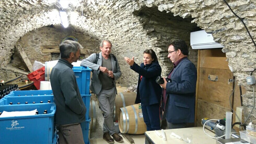 Dégustation au Clos Castell