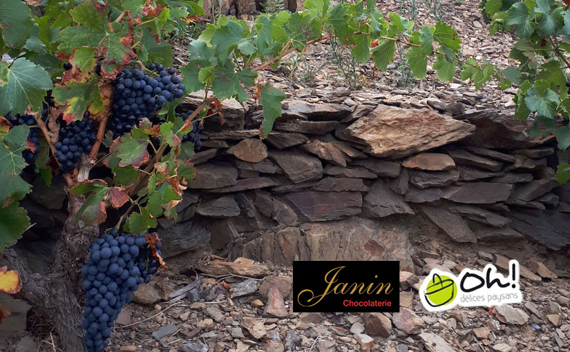 Clos Castell - Partenaires