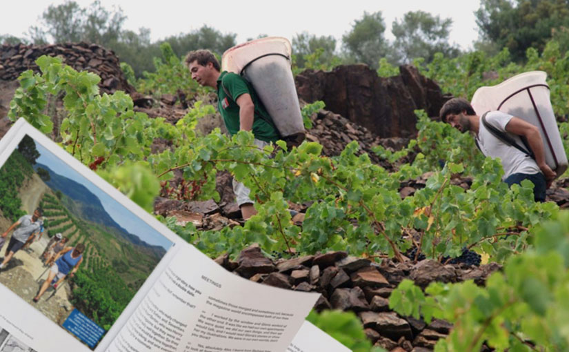 Clos Castell - Revue de presse