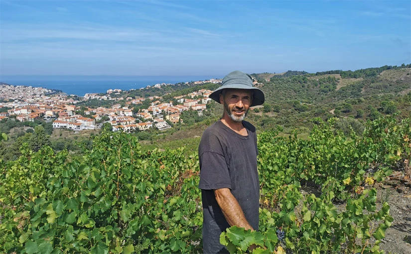 Jean-Christophe Jose, vigneron